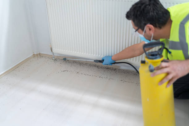 Best Pest Control Cost  in Lake Lotawana, MO